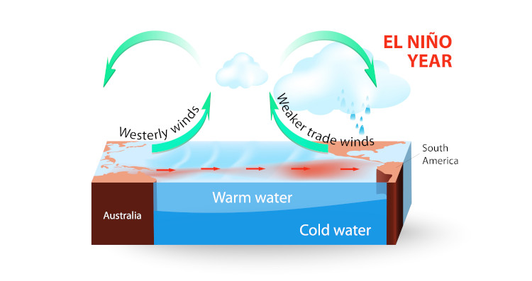 Diagram explaining the El Niño - Southern Oscillation (also called ENSO)