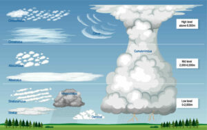 Diagram showing various types of clouds.