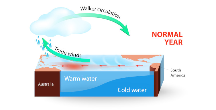 Diagram explaining the Walker circulation cell