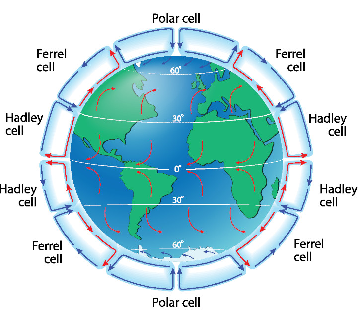 Illustration depicting the Earth's global atmospheric circulation cells, showcasing the movement of air currents.