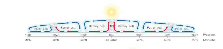 Diagram of the Ferrel cell and its interraction with the Hadley cell and Polar cell