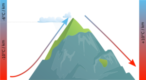 Diagram showing the foehn wind effect as warm, dry air descends down the leeward side of a mountain, creating a weather phenomenon known as foehn winds.