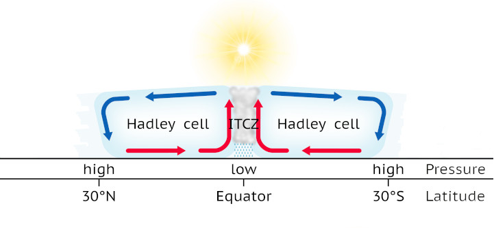 Diagram of the Hadley cell