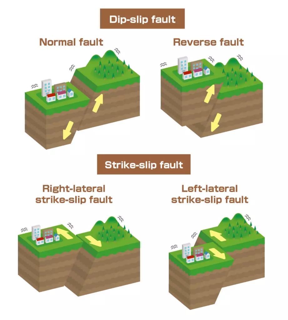 An educational illustration depicting various types of faults in the Earth's crust. The illustration showcases normal faults, reverse faults, and strike-slip faults, highlighting their distinct characteristics and movements.